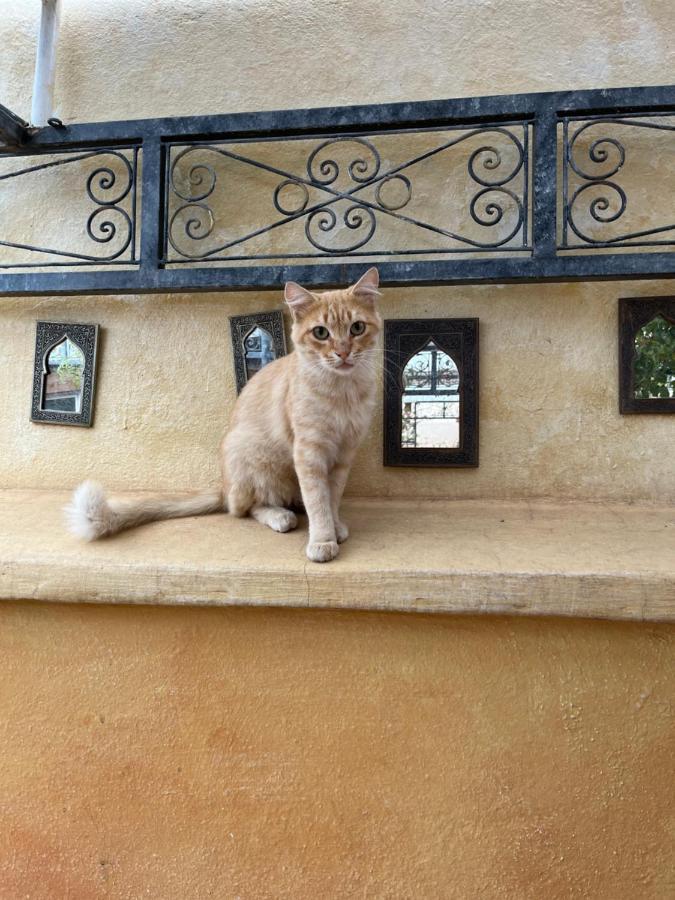 Riad Al Ibtikar Marakéš Exteriér fotografie